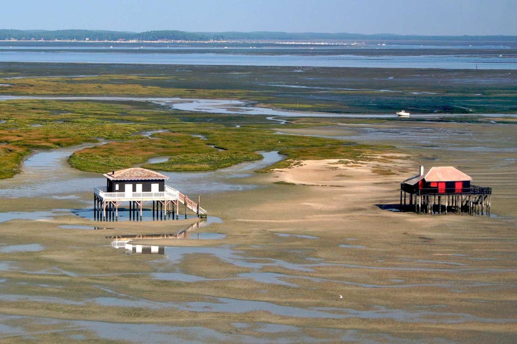 Lège-Cap-Ferret Un Toit Sur Le Bassin Claouey酒店 外观 照片